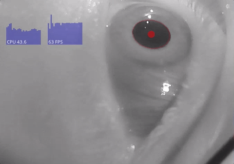 Eye tracking video footage